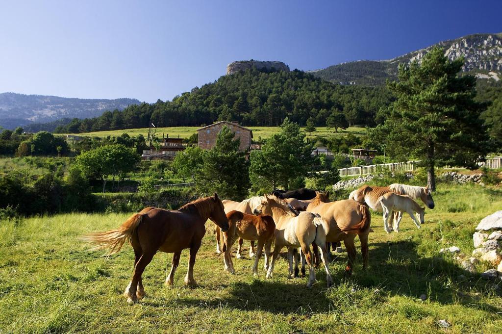 Poble Rural Puig Arnau - Pubillo Country house *