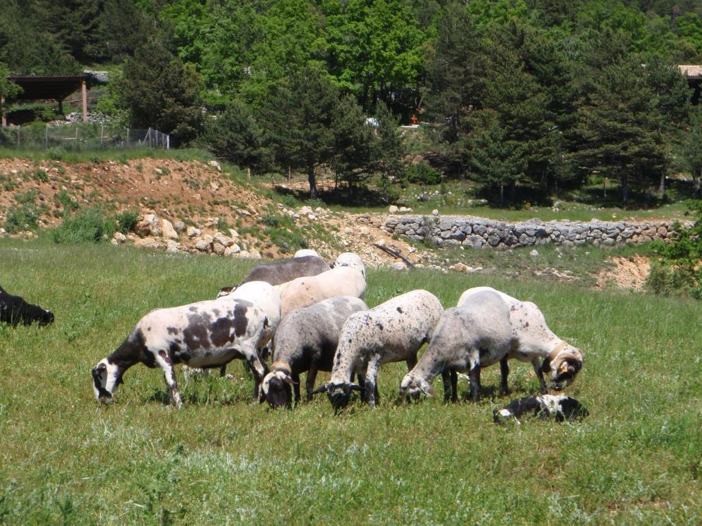 Poble Rural Puig Arnau - Pubillo Country house Oden