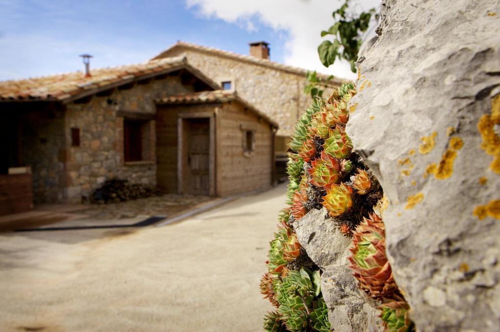 Casa rural Poble Rural Puig Arnau - Pubilló