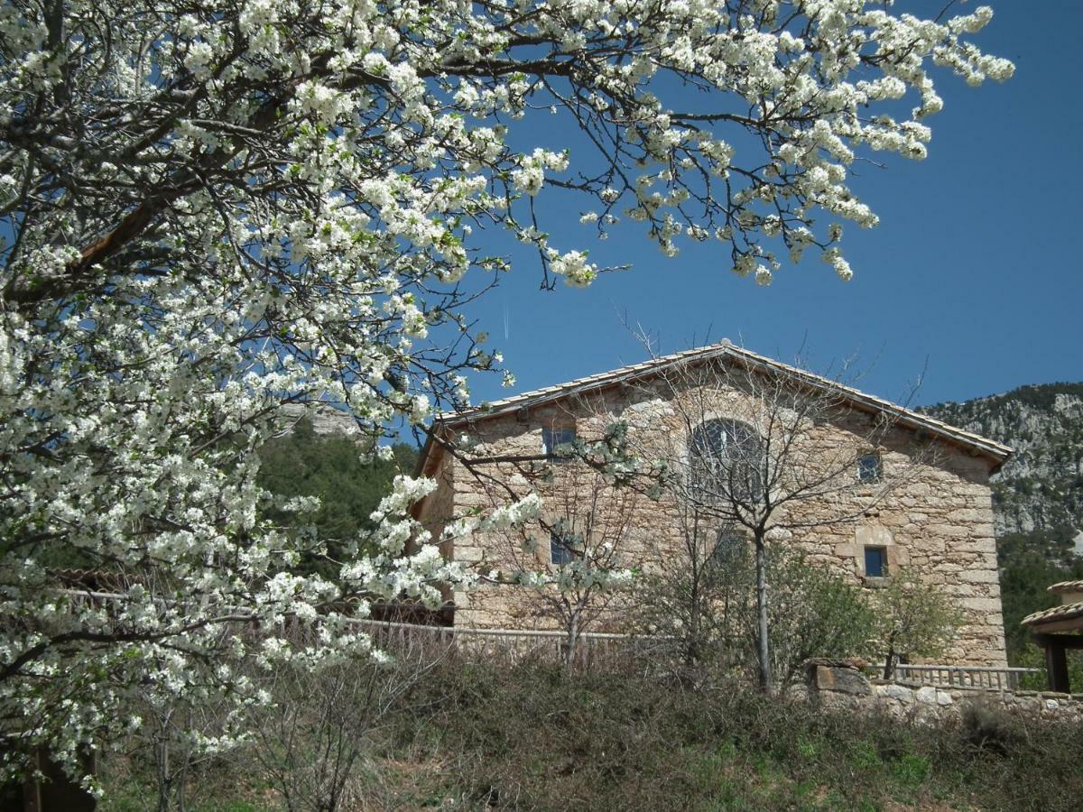 Poble Rural Puig Arnau - Pubilló Casa rural *